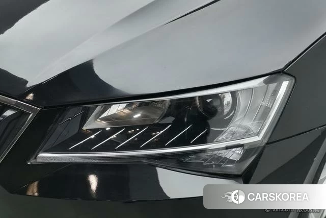 Skoda Speed pie id 4210065 из Китая 16