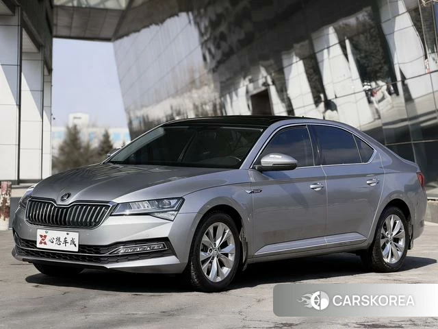 Skoda Speed pie id 4207761 из Китая 16