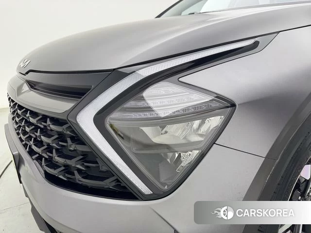 Kia Lion Platinum expands the world id 4259377 из Китая 16