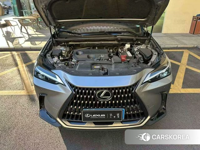 Lexus NX id 4273944 из Китая 16
