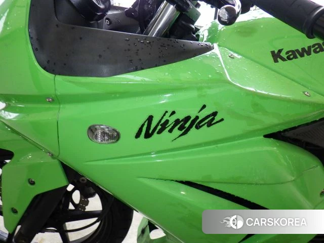 Kawasaki NINJA 250R id 4192974 из Японии 16