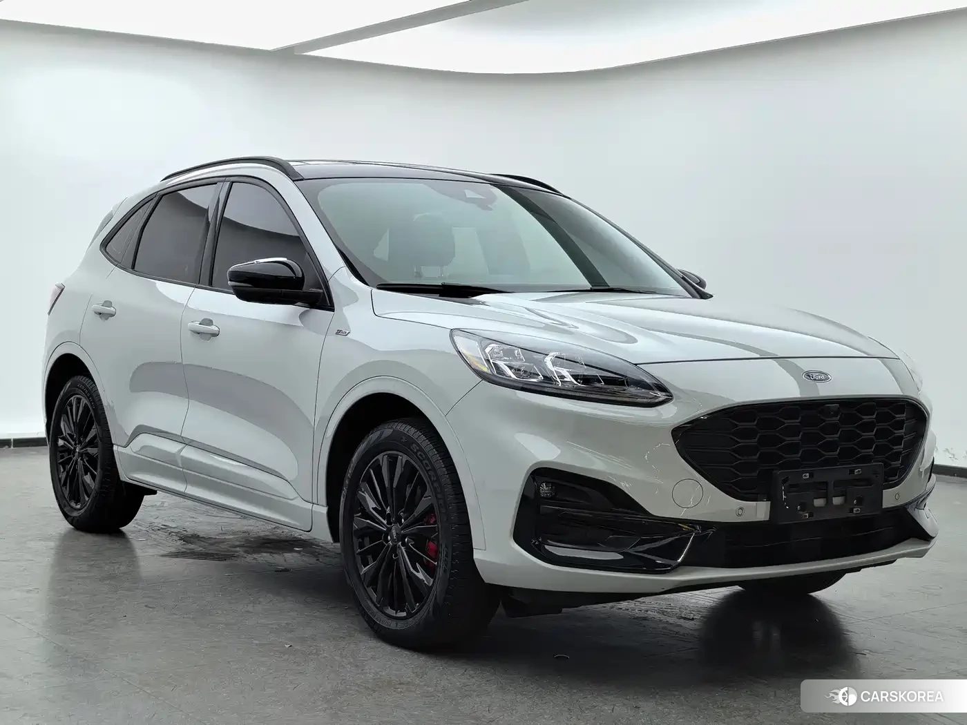 Ford Ruiji id 4546262 из Китая 16