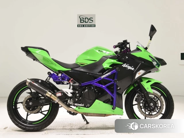 Проданный Kawasaki NINJA 250 2018 из Японии
