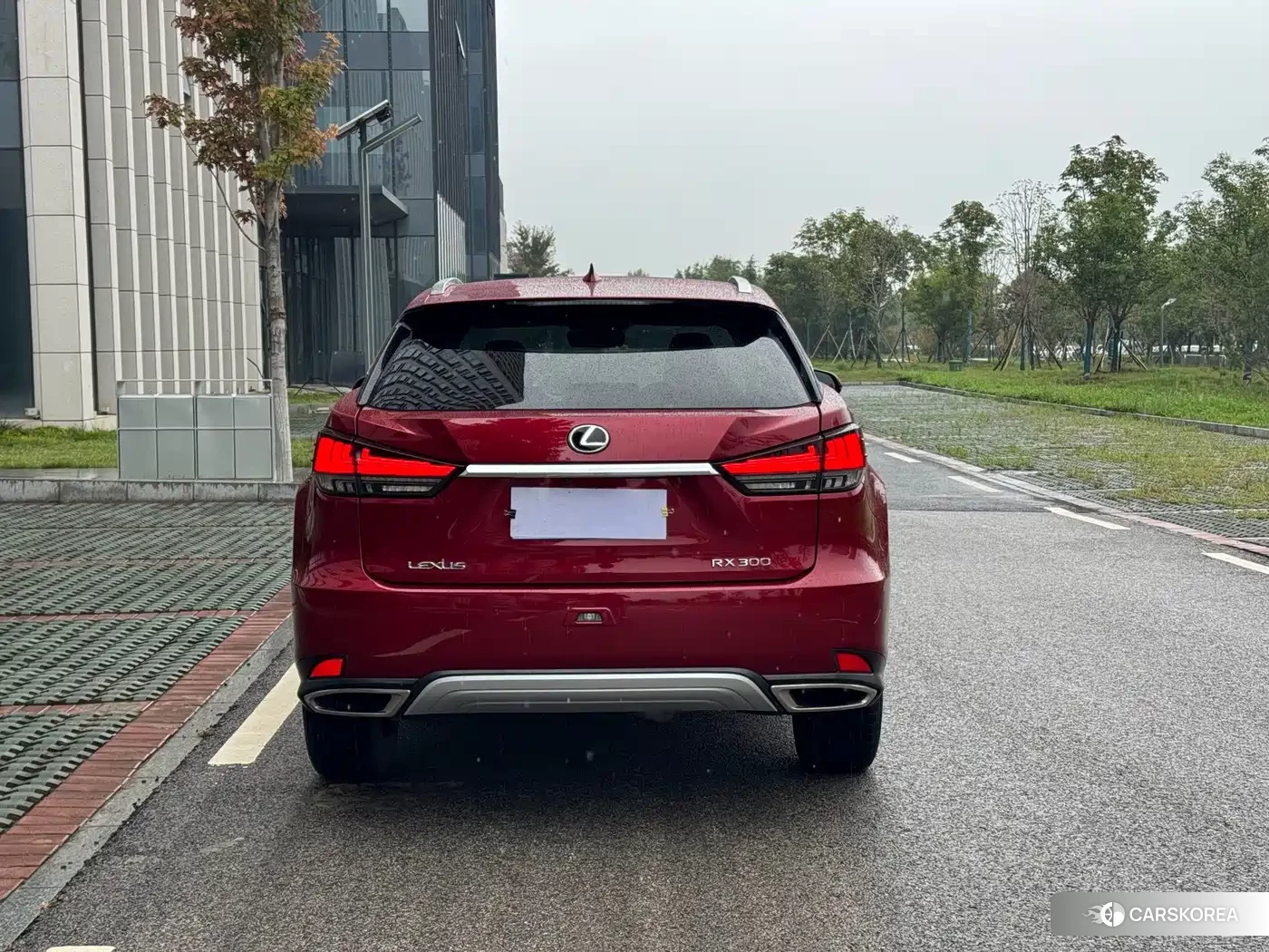 Lexus RX id 4669348 из Китая 17