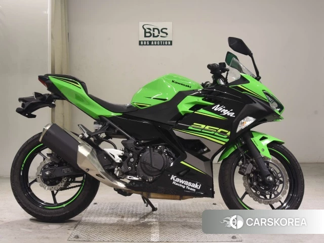 Проданный Kawasaki NINJA 250 2018 из Японии