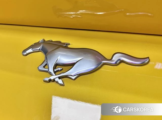 Ford Mustang id 4209132 из Китая 17