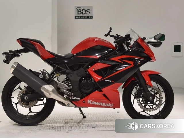 Проданный Kawasaki NINJA 250SL 2015 из Японии