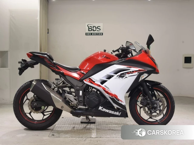 Проданный Kawasaki NINJA 250 ABS 2013 из Японии