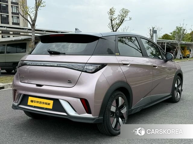 BYD dolphin id 4211195 из Китая 17