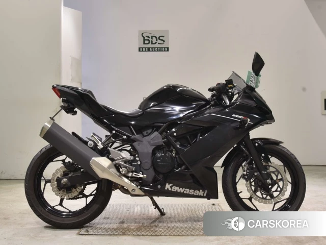 Проданный Kawasaki NINJA 250SL 2015 из Японии