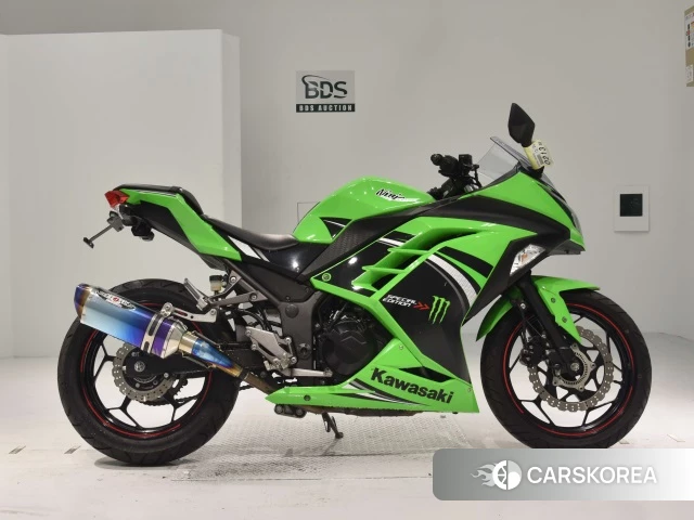Проданный Kawasaki NINJA 250 ABS 2014 из Японии