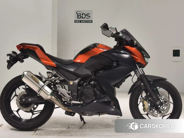 Проданный Kawasaki Z250 2014 из Японии