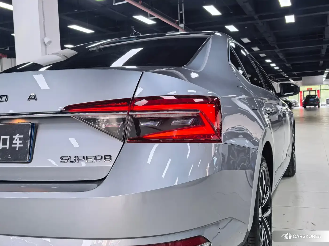 Skoda Speed pie id 4578277 из Китая 17