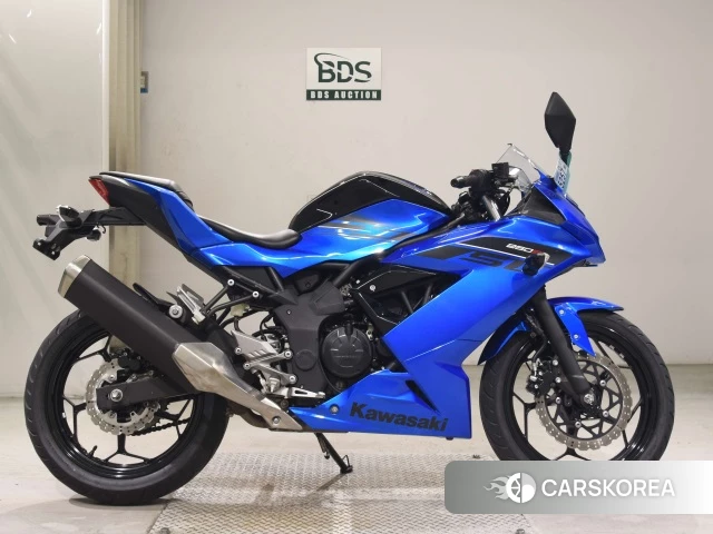 Проданный Kawasaki NINJA 250SL 2015 из Японии