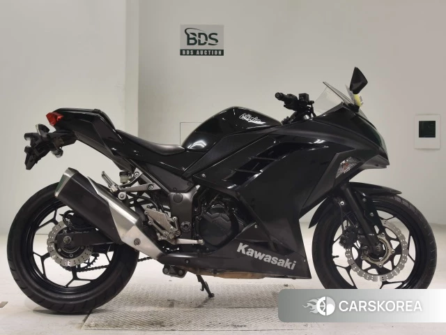 Проданный Kawasaki NINJA 250 ABS 2013 из Японии