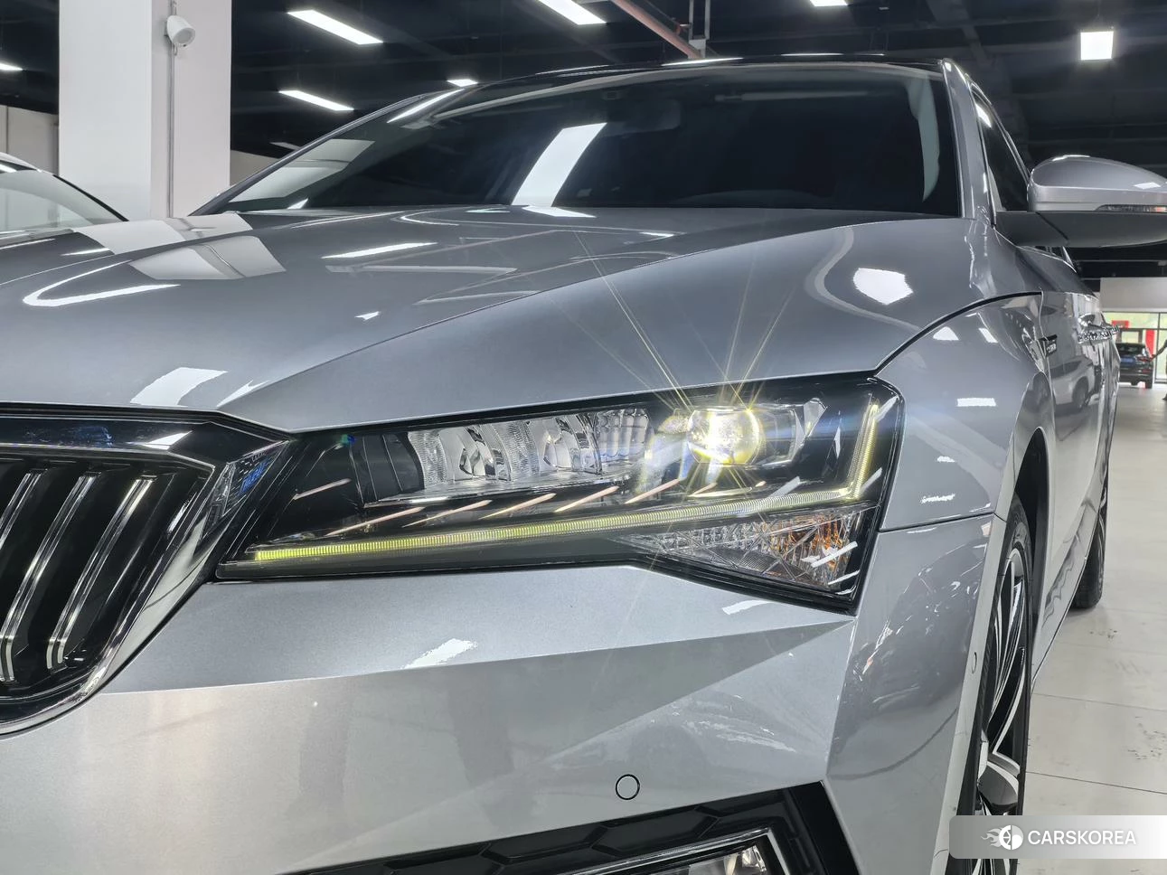 Skoda Speed pie id 4452178 из Китая 17