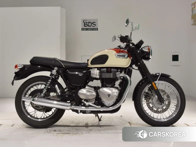 Проданный Triumph BONNEVILLE T100 2017 из Японии