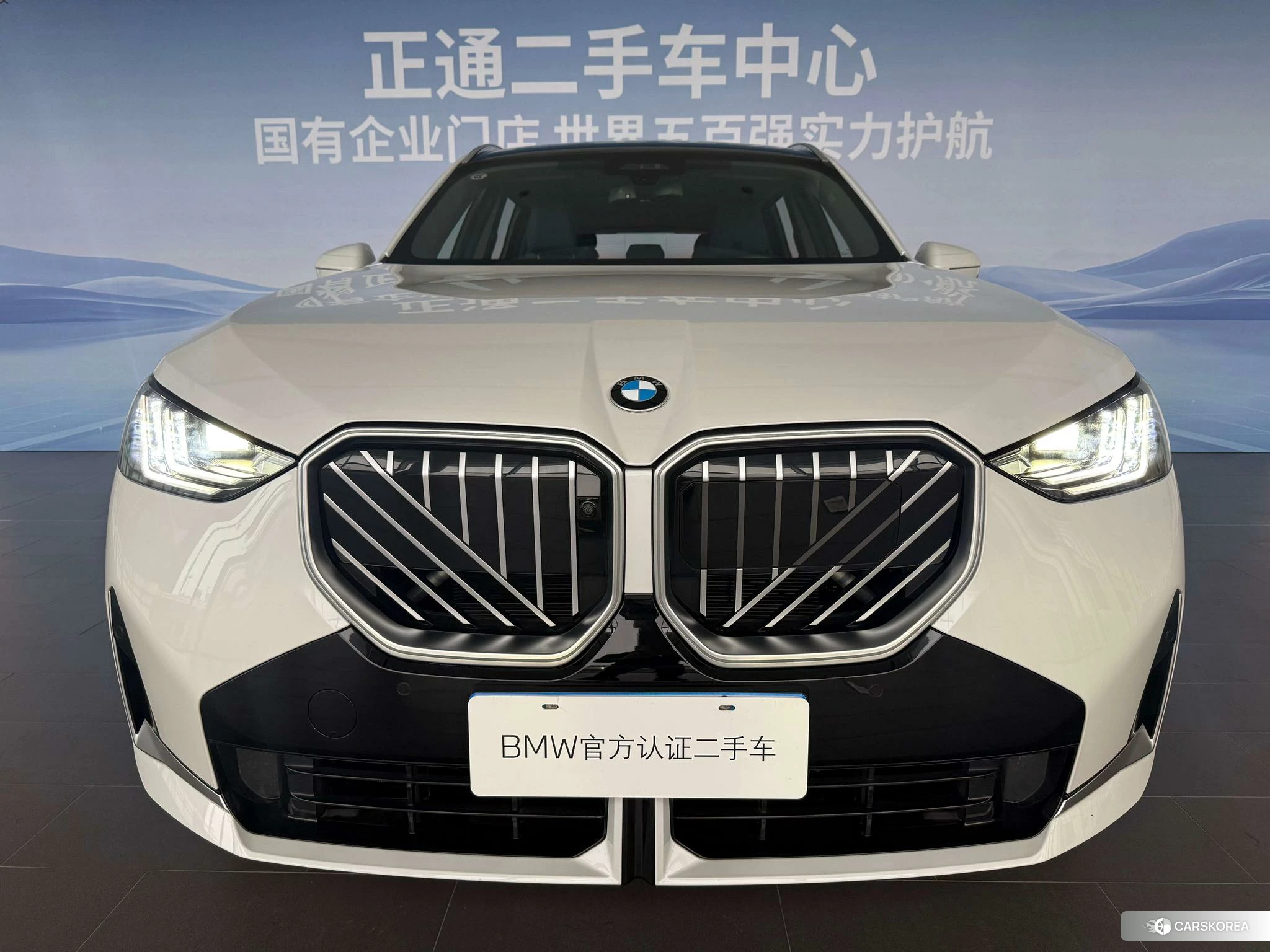 BMW X3 id 4498753 из Китая 17