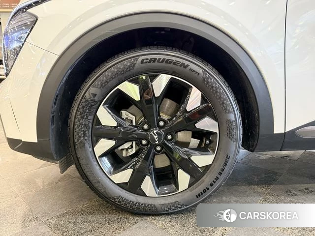 Kia Lion Platinum expands the world id 4297723 из Китая 17