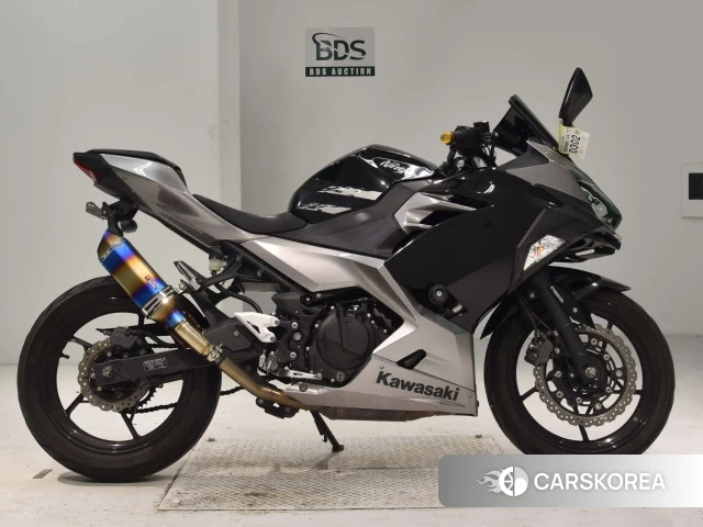 Проданный Kawasaki NINJA 250 2018 из Японии