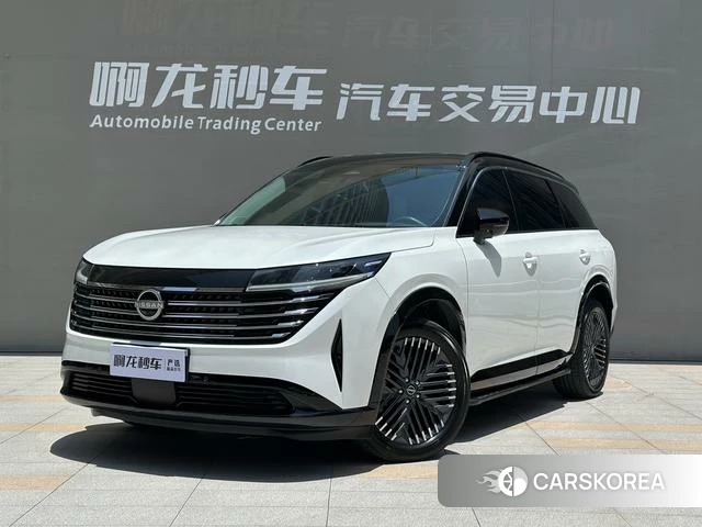 Nissan Exploring the land id 4220619 из Китая 17