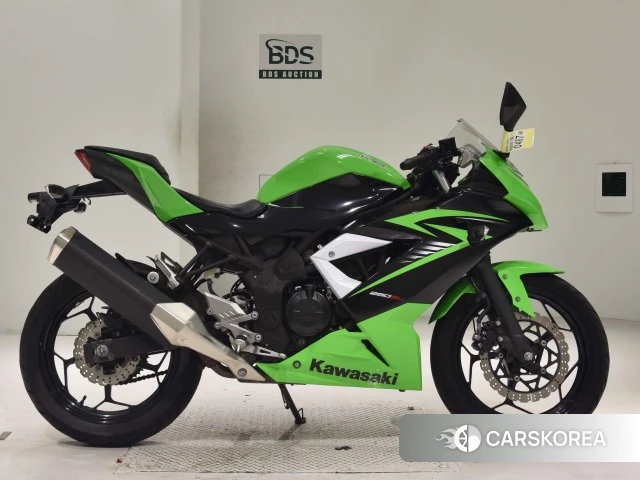 Проданный Kawasaki NINJA 250SL 2015 из Японии