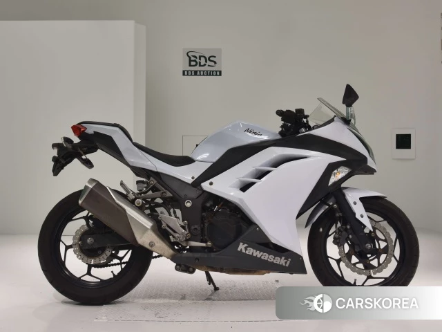 Проданный Kawasaki NINJA 250 2013 из Японии