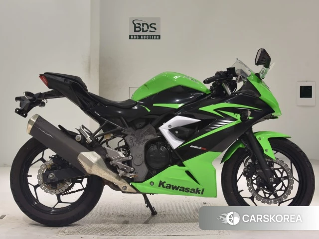 Проданный Kawasaki NINJA 250SL 2015 из Японии