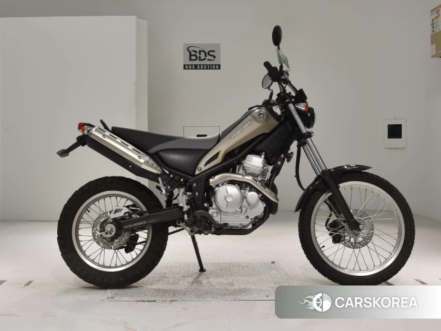 Проданный Yamaha TRICKER 250 2019 из Японии