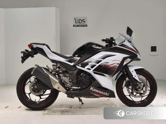 Проданный Kawasaki NINJA 250 ABS 2014 из Японии