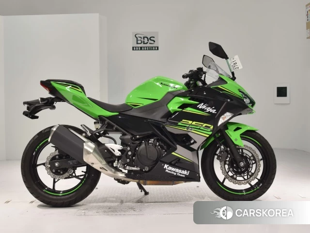 Проданный Kawasaki NINJA 250 2018 из Японии