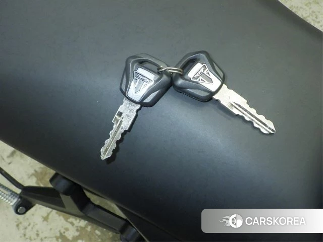 Проданный Triumph TRIDENT 660 id 4199126 из Японии, фото 17