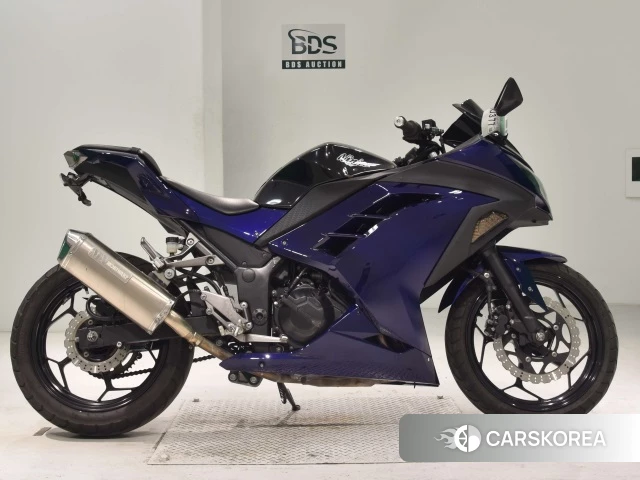 Проданный Kawasaki NINJA 250 2013 из Японии