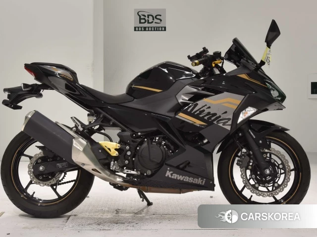 Проданный Kawasaki NINJA 400 2019 из Японии