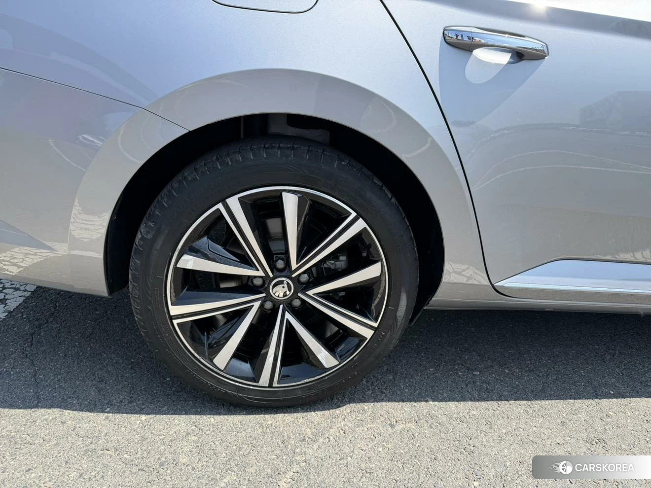 Skoda Speed pie id 4452207 из Китая 17