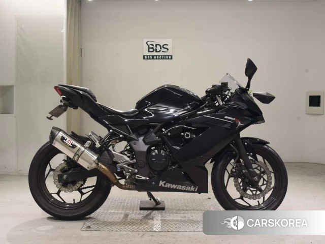 Проданный Kawasaki NINJA 250SL 2016 из Японии