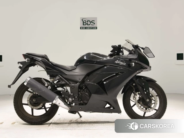 Проданный Kawasaki NINJA 250R id 4161137 из Японии, фото 2