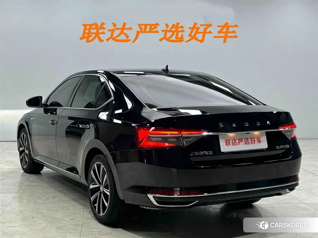 Skoda Speed pie id 4515526 из Китая 17