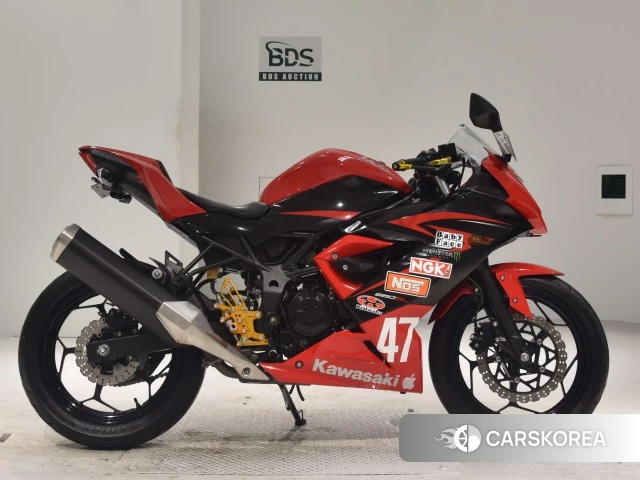 Проданный Kawasaki NINJA 250SL 2015 из Японии