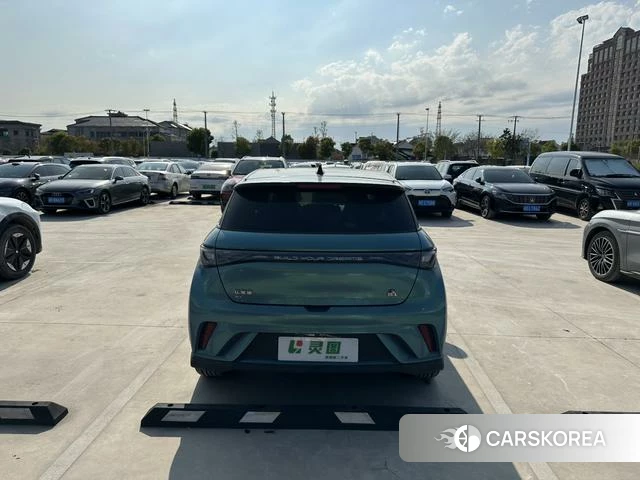 BYD dolphin id 4240196 из Китая 17