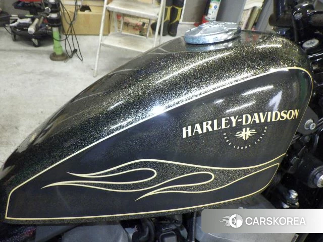 Harley-Davidson Sportster 48 XL1200X id 3946205 из Японии 17