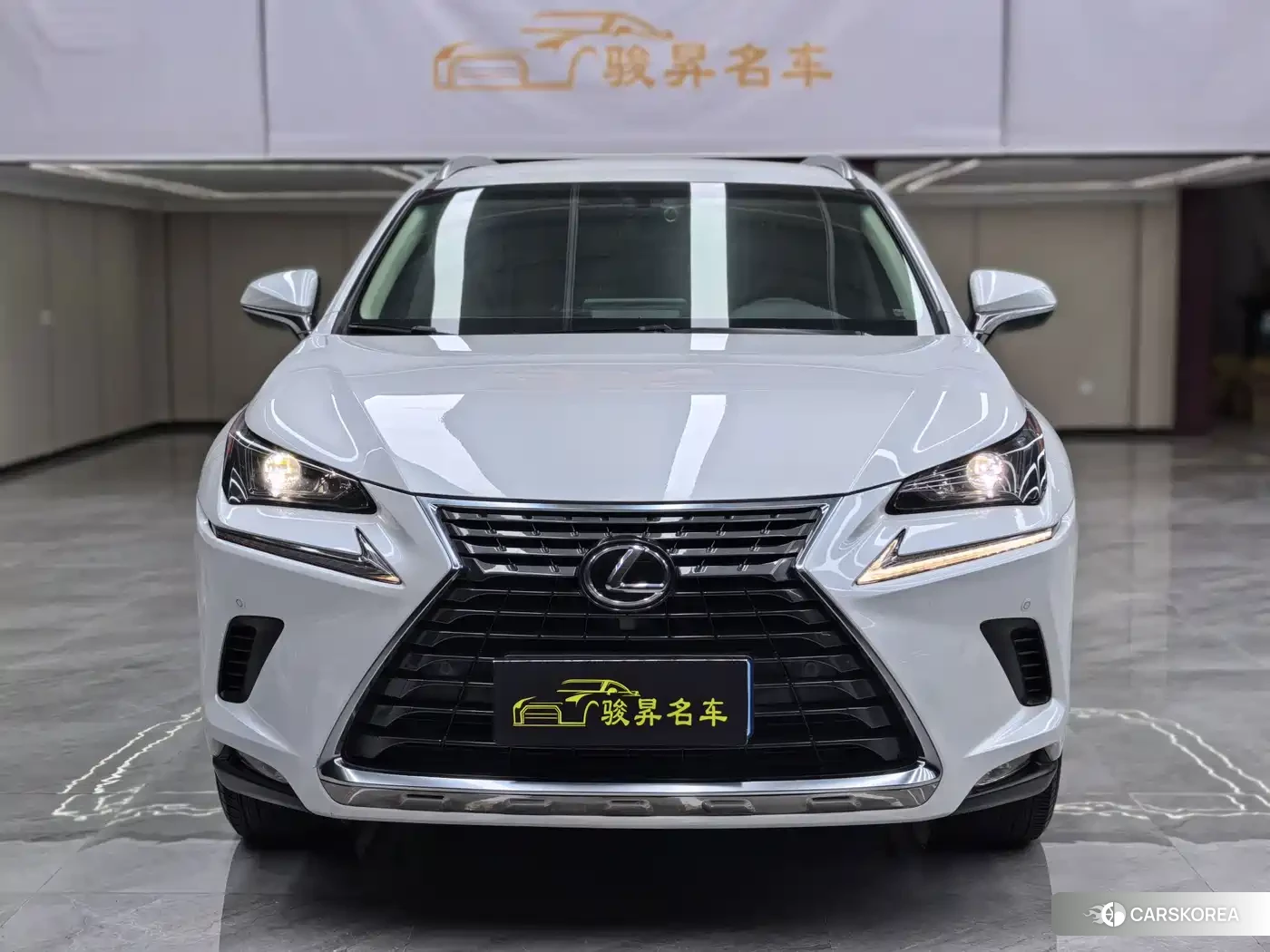 Lexus NX id 4622644 из Китая 18