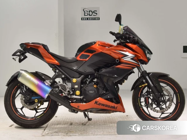 Проданный Kawasaki Z250 2014 из Японии