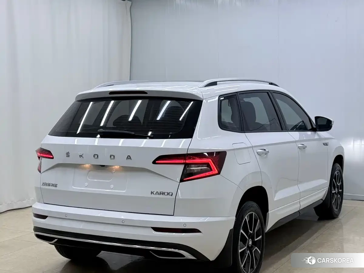 Skoda Karoq id 4686278 из Китая 17