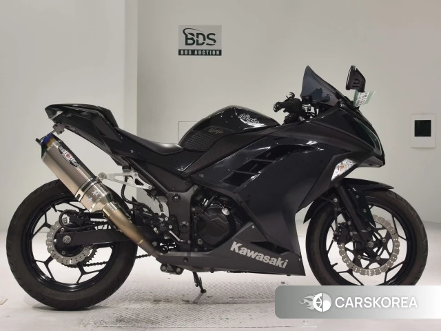Проданный Kawasaki NINJA 250 2013 из Японии
