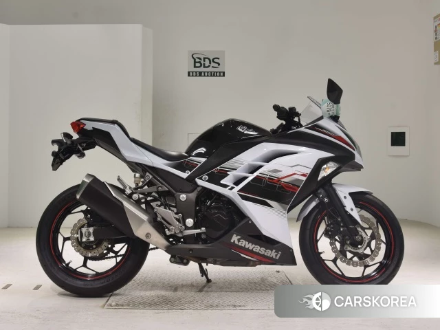 Проданный Kawasaki NINJA 250 ABS 2014 из Японии