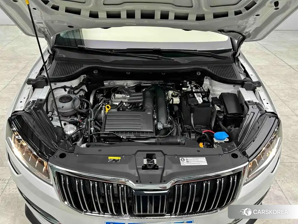 Skoda Karoq id 4674345 из Китая 17