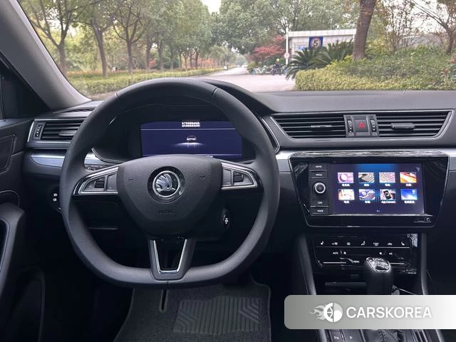 Skoda Speed pie id 4221421 из Китая 17