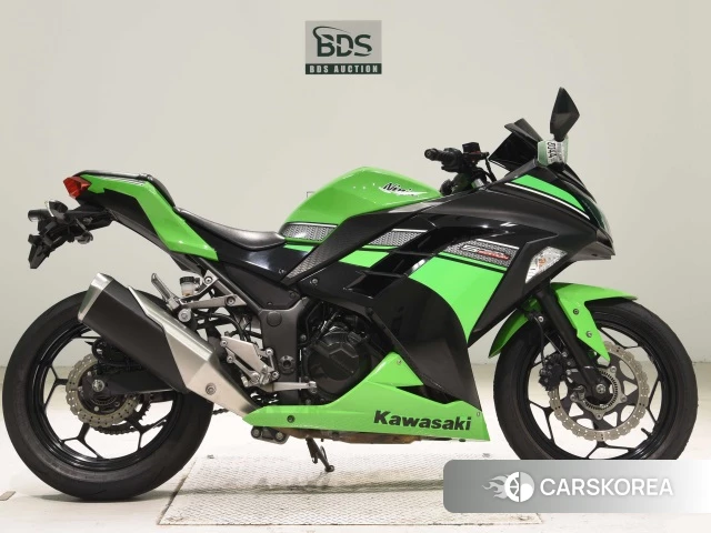 Проданный Kawasaki NINJA 250 ABS 2014 из Японии