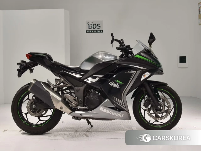 Проданный Kawasaki NINJA 250 ABS 2015 из Японии